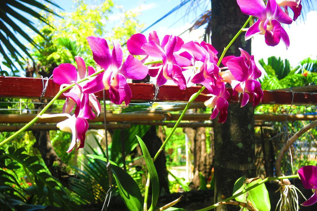 Kampot Guesthouse Bagian luar foto